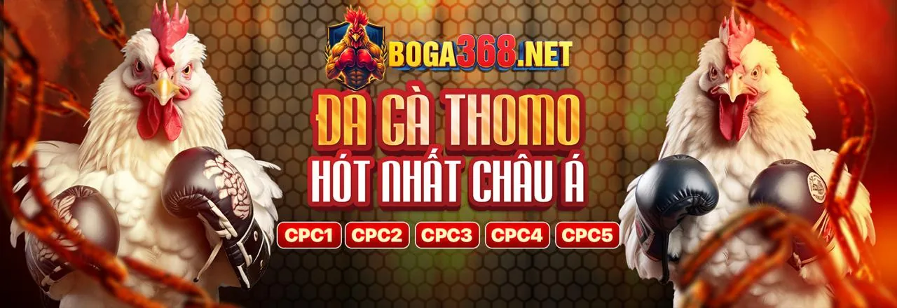 Đá gà trực tuyến Zalv777
